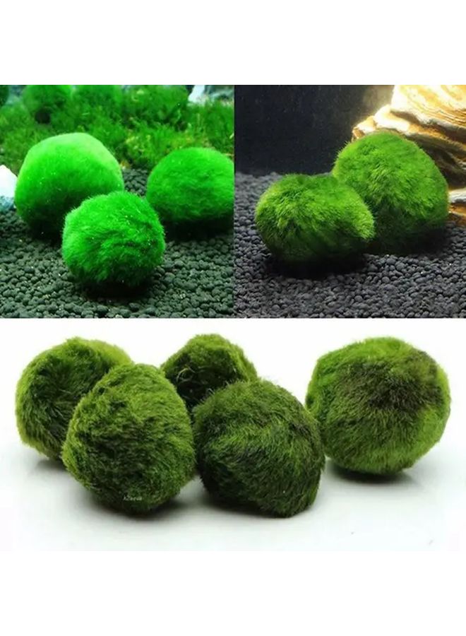 كرات الطحالب ماريمو الاصطناعية نباتات حوض السمك الواقعية نسيج الطحالب الخضراء متين مادة البولي بروبيلين الكمية 1 - Image 1